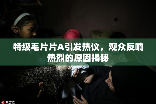 特级毛片片A引发热议，观众反响热烈的原因揭秘