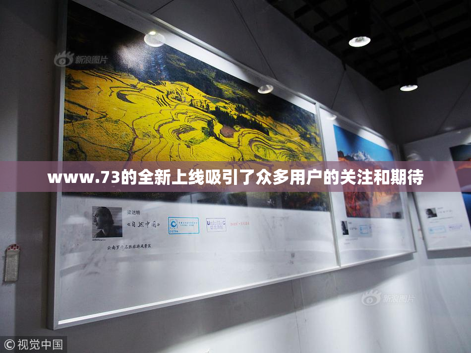www.73的全新上线吸引了众多用户的关注和期待