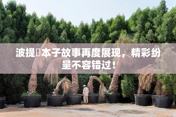 波提歐本子故事再度展现，精彩纷呈不容错过！