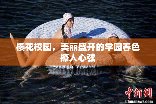 樱花校园，美丽盛开的学园春色撩人心弦