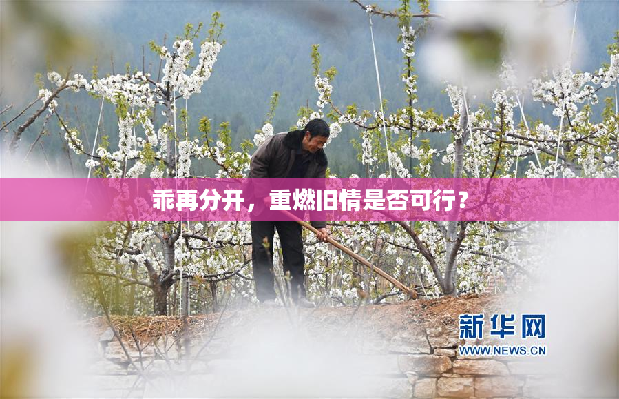 乖再分开，重燃旧情是否可行？