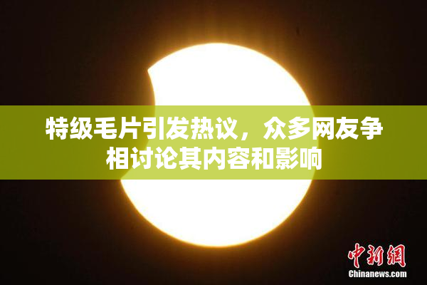 特级毛片引发热议，众多网友争相讨论其内容和影响