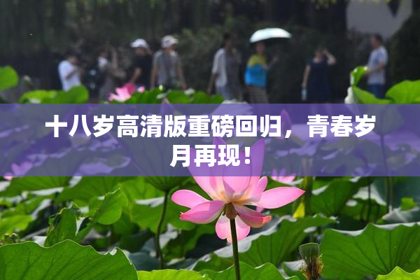 十八岁高清版重磅回归，青春岁月再现！