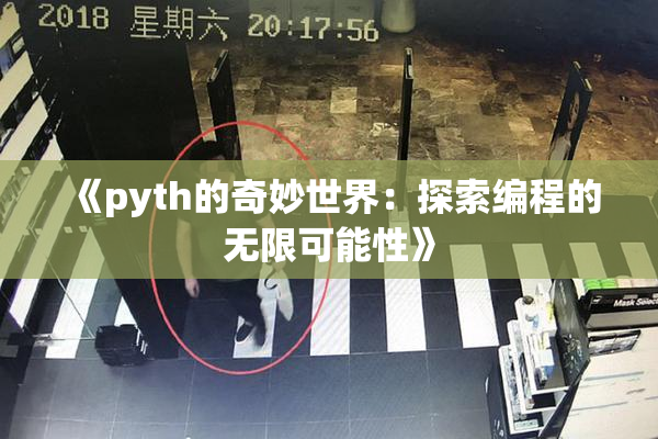 《pyth的奇妙世界：探索编程的无限可能性》