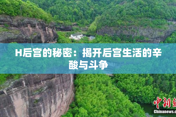 H后宫的秘密：揭开后宫生活的辛酸与斗争