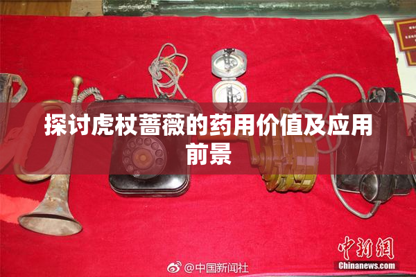 探讨虎杖蔷薇的药用价值及应用前景