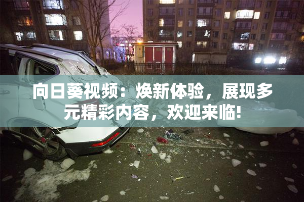 向日葵视频：焕新体验，展现多元精彩内容，欢迎来临!