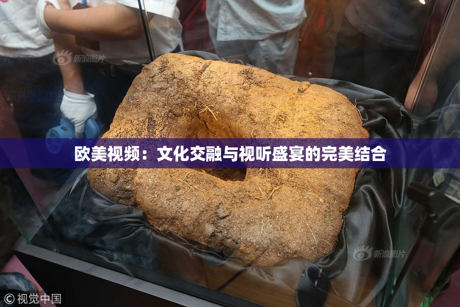 欧美视频：文化交融与视听盛宴的完美结合