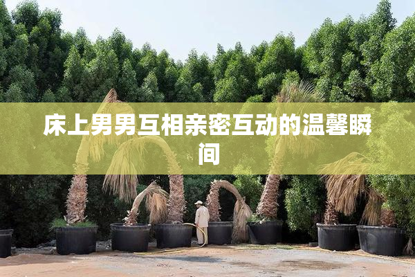 床上男男互相亲密互动的温馨瞬间
