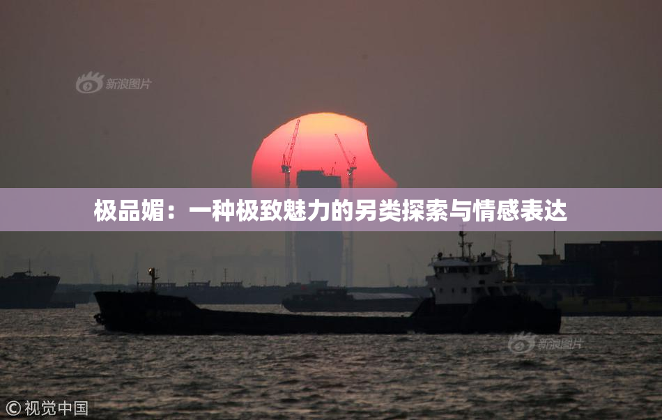 极品媚：一种极致魅力的另类探索与情感表达
