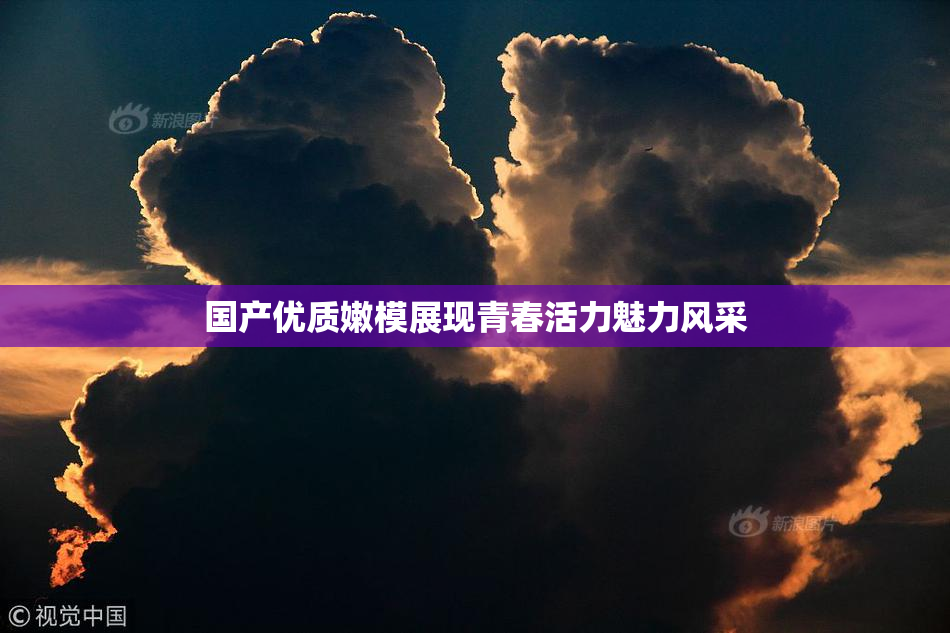 国产优质嫩模展现青春活力魅力风采