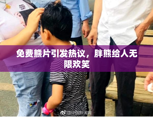 免费熊片引发热议，胖熊给人无限欢笑