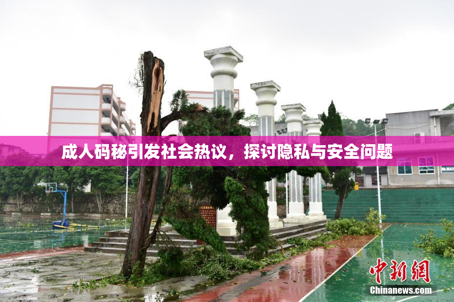 成人码秘引发社会热议，探讨隐私与安全问题