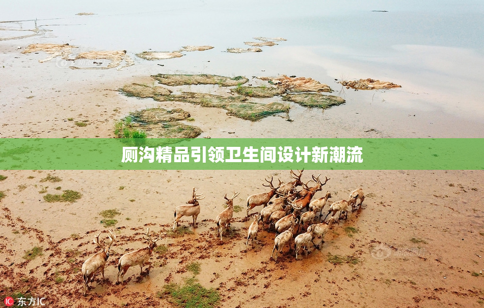 厕沟精品引领卫生间设计新潮流