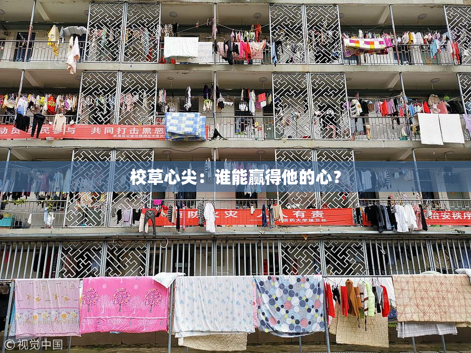校草心尖：谁能赢得他的心？