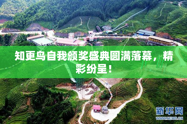 知更鸟自我颁奖盛典圆满落幕，精彩纷呈！