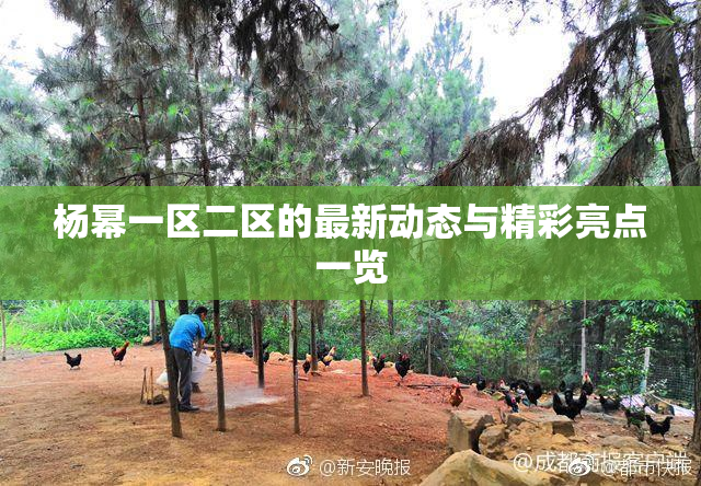 杨幂一区二区的最新动态与精彩亮点一览