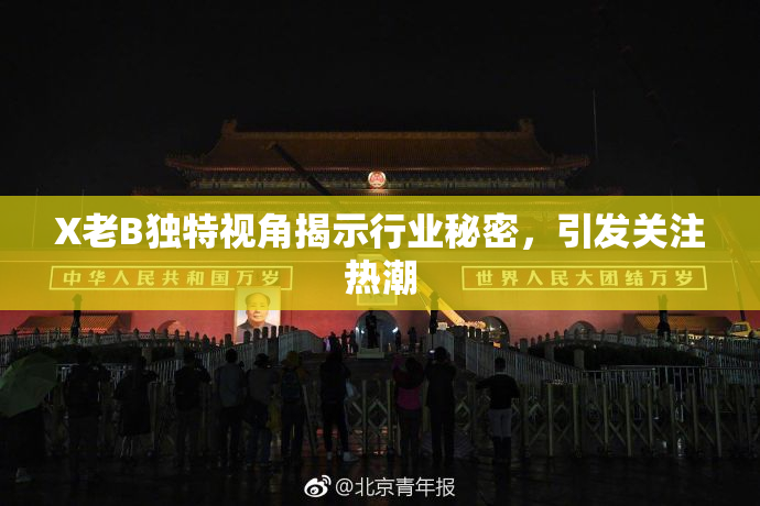 X老B独特视角揭示行业秘密，引发关注热潮
