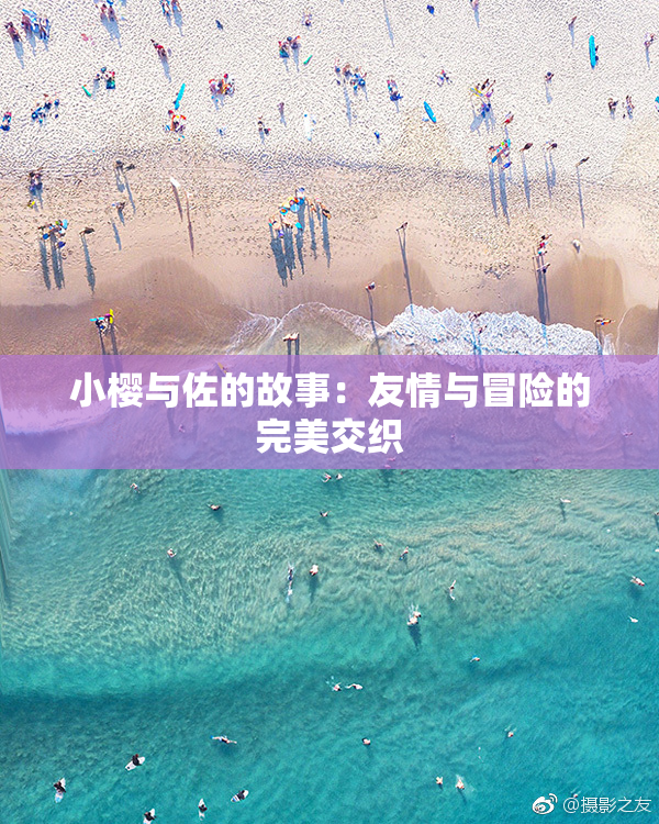 小樱与佐的故事：友情与冒险的完美交织