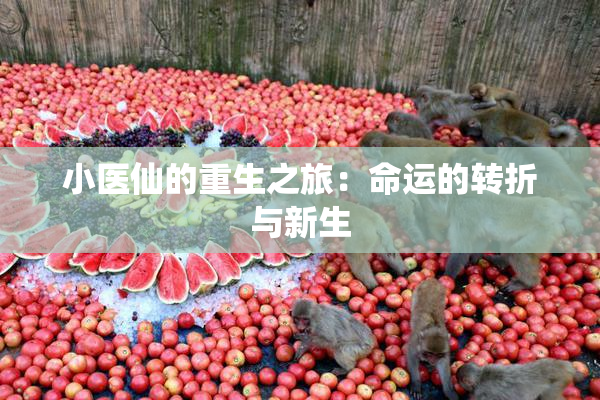小医仙的重生之旅：命运的转折与新生