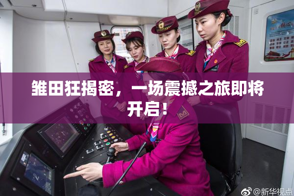 雏田狂揭密，一场震撼之旅即将开启！