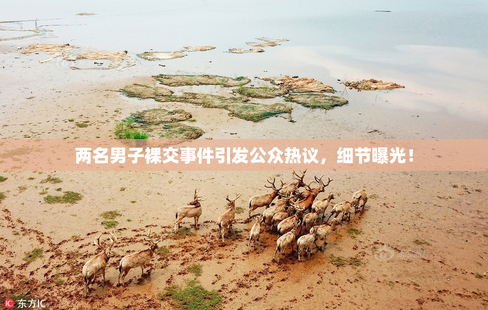 两名男子裸交事件引发公众热议，细节曝光！