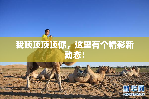 我顶顶顶顶你，这里有个精彩新动态！