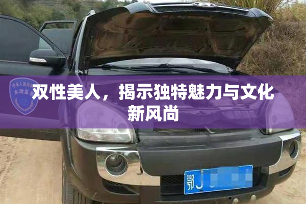双性美人，揭示独特魅力与文化新风尚