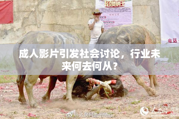 成人影片引发社会讨论，行业未来何去何从？