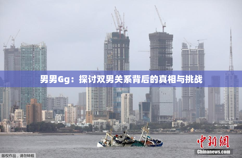 男男Gg：探讨双男关系背后的真相与挑战