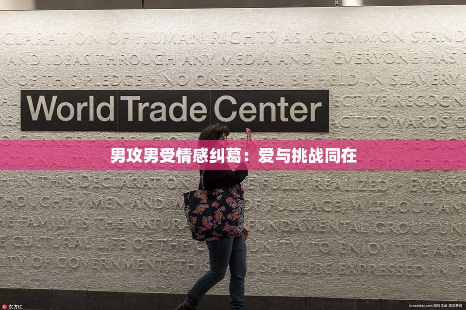 男攻男受情感纠葛：爱与挑战同在
