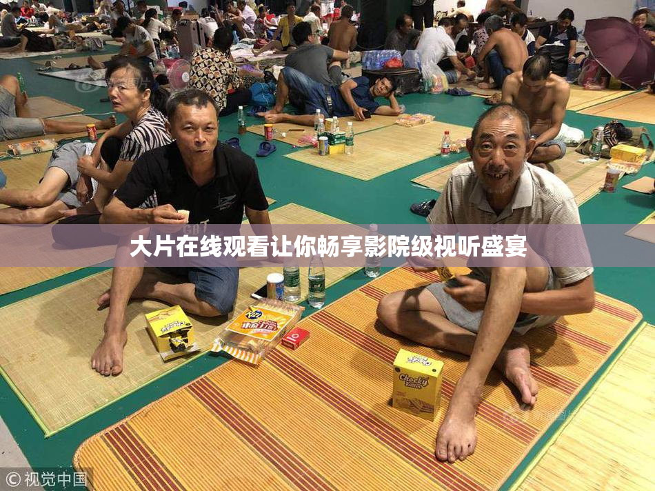 大片在线观看让你畅享影院级视听盛宴