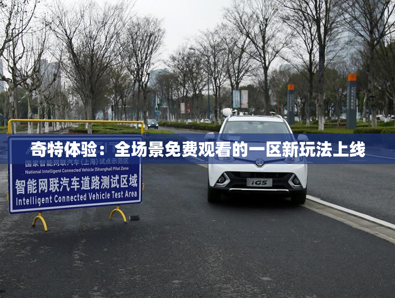 奇特体验：全场景免费观看的一区新玩法上线
