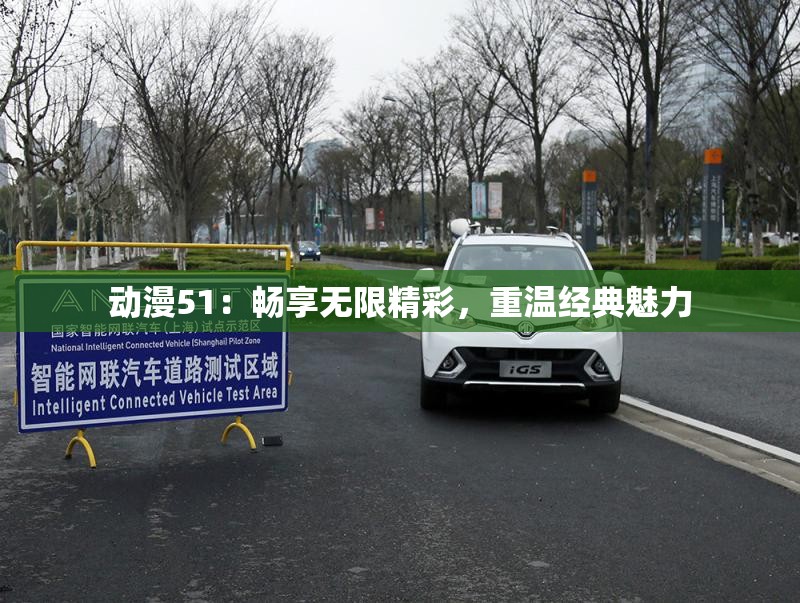 动漫51：畅享无限精彩，重温经典魅力