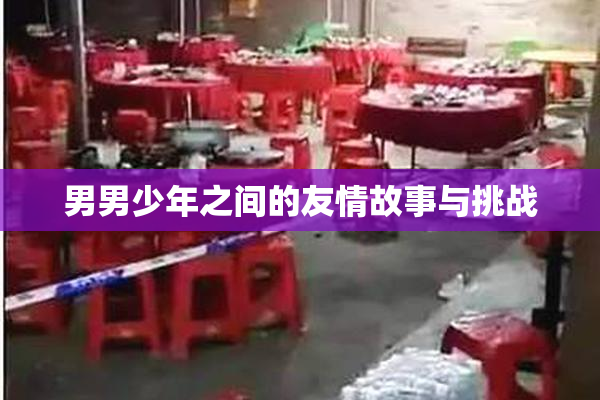 男男少年之间的友情故事与挑战