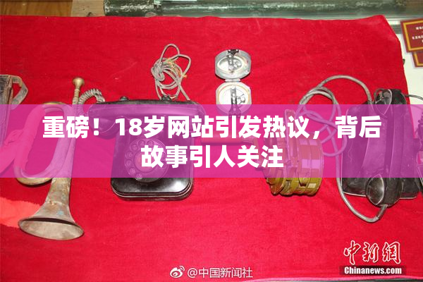 重磅！18岁网站引发热议，背后故事引人关注