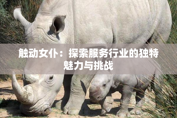 触动女仆：探索服务行业的独特魅力与挑战