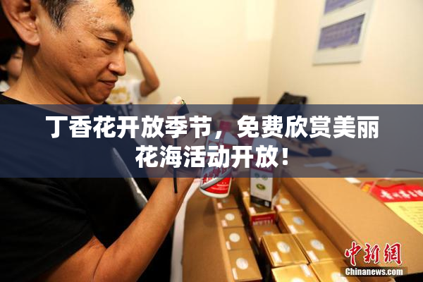 丁香花开放季节，免费欣赏美丽花海活动开放！