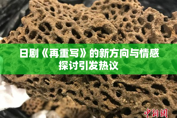 日剧《再重写》的新方向与情感探讨引发热议
