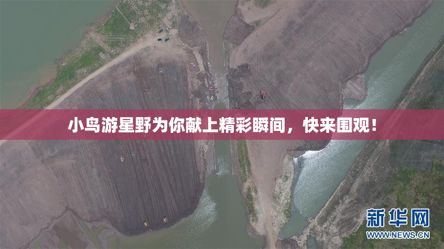 小鸟游星野为你献上精彩瞬间，快来围观！