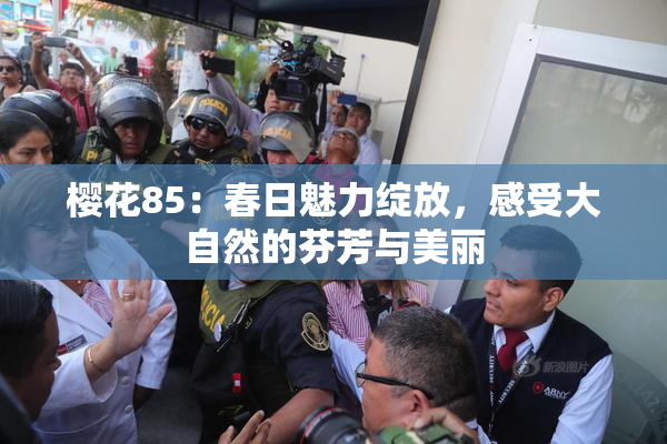 樱花85：春日魅力绽放，感受大自然的芬芳与美丽
