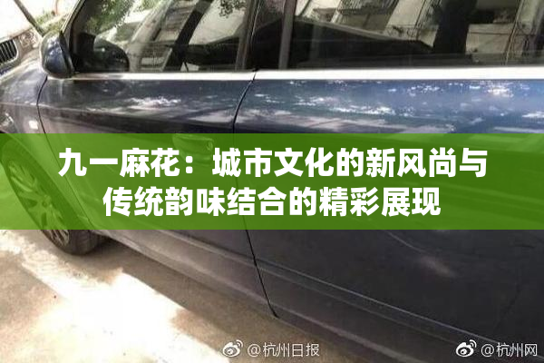 九一麻花：城市文化的新风尚与传统韵味结合的精彩展现