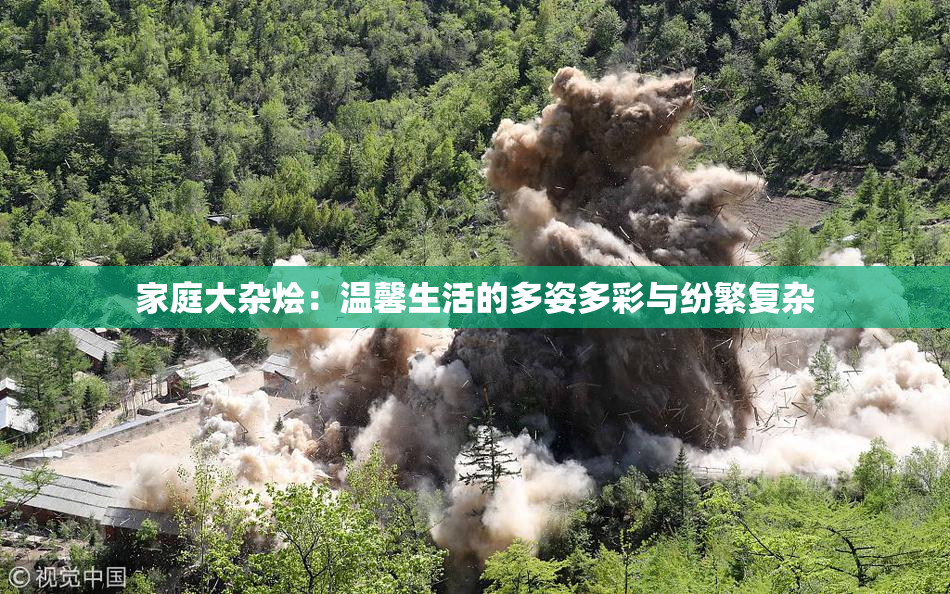 家庭大杂烩：温馨生活的多姿多彩与纷繁复杂