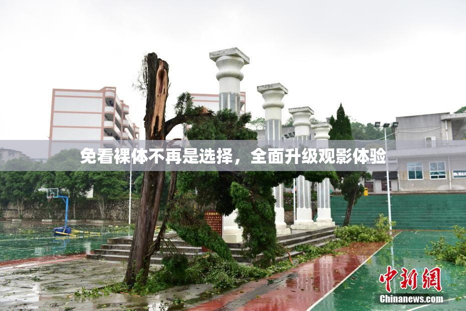 免看裸体不再是选择，全面升级观影体验