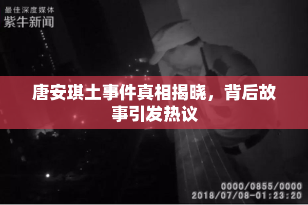 唐安琪土事件真相揭晓，背后故事引发热议