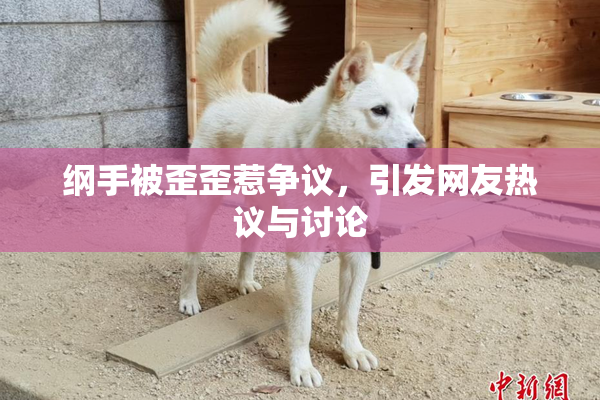 纲手被歪歪惹争议，引发网友热议与讨论