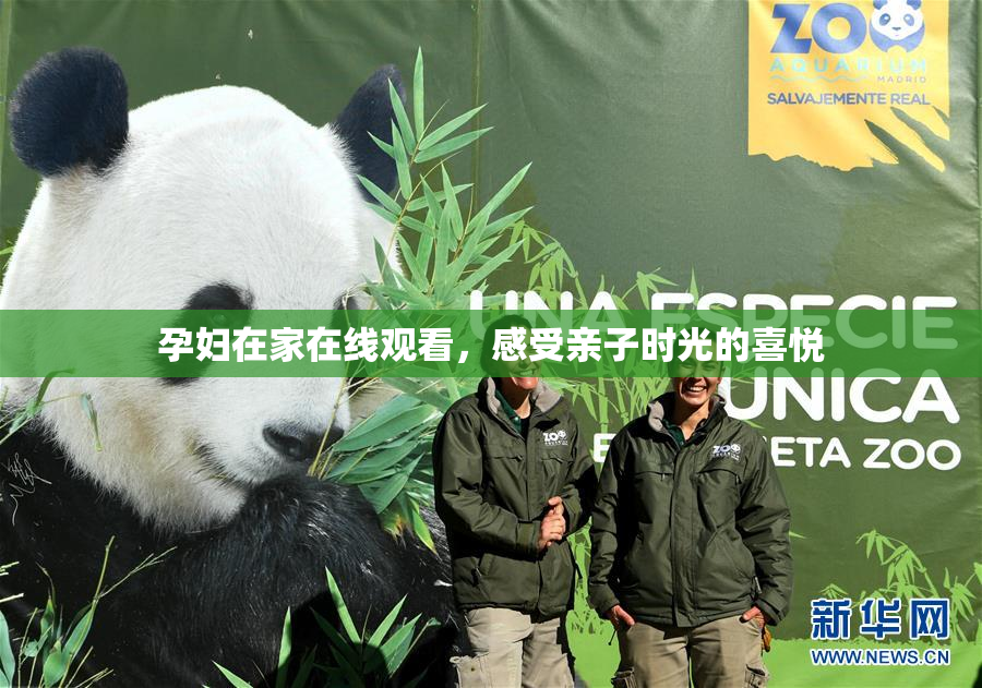 孕妇在家在线观看，感受亲子时光的喜悦