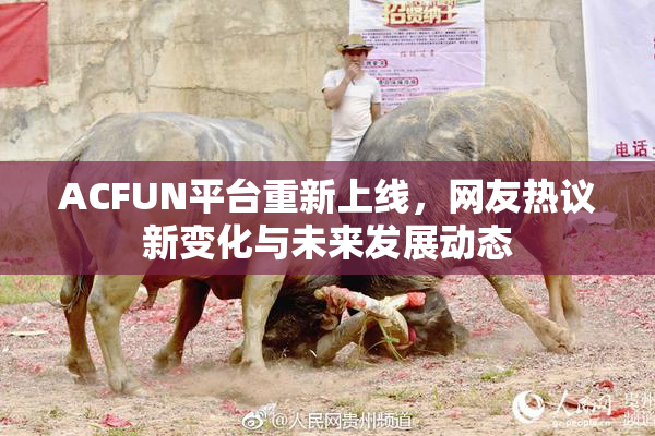 ACFUN平台重新上线，网友热议新变化与未来发展动态