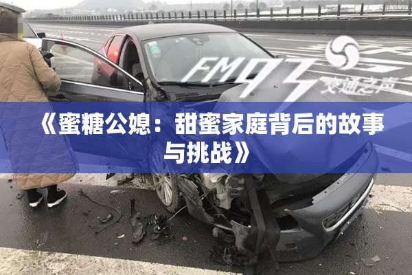 《蜜糖公媳：甜蜜家庭背后的故事与挑战》