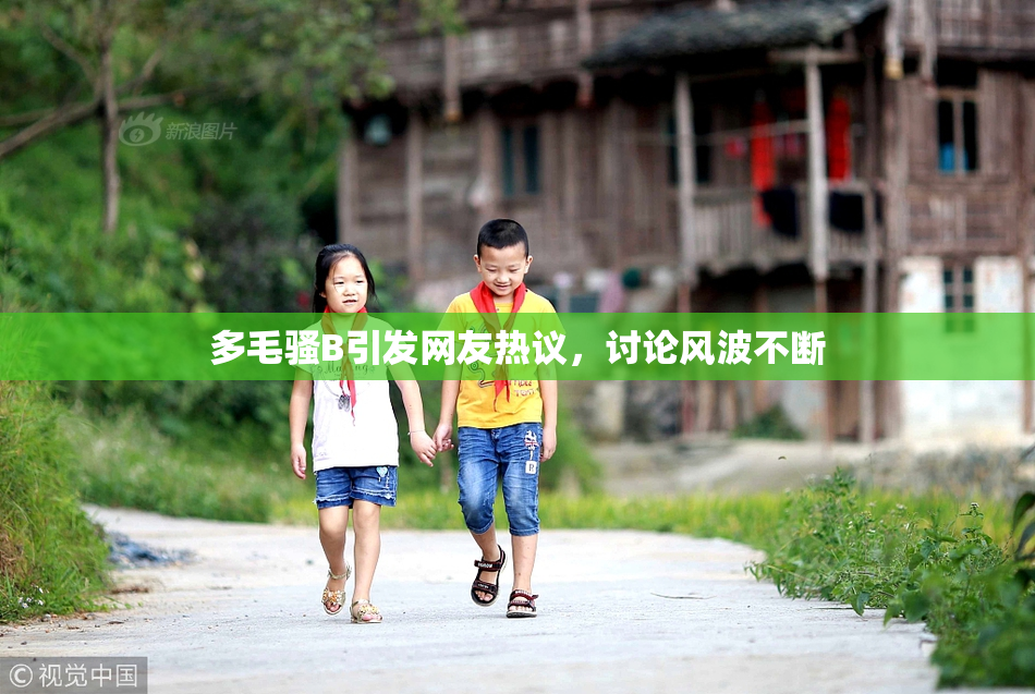 多毛骚B引发网友热议，讨论风波不断